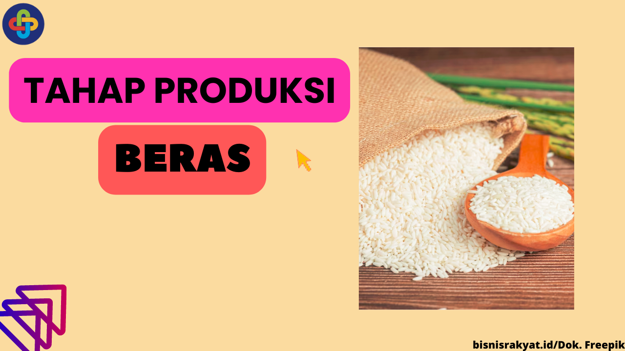 5 Tahap Produksi Beras yang Perlu Diperhatikan