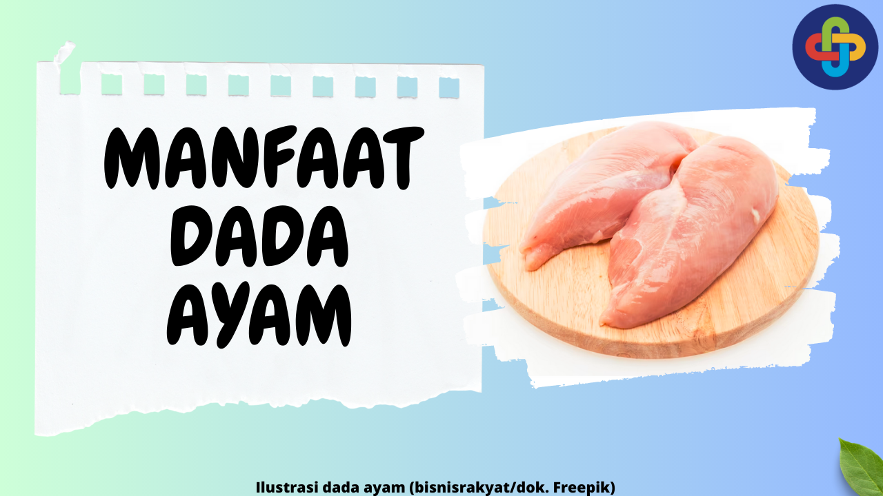 6 Manfaat Dada Ayam: Baik untuk Pertumbuhan Otot