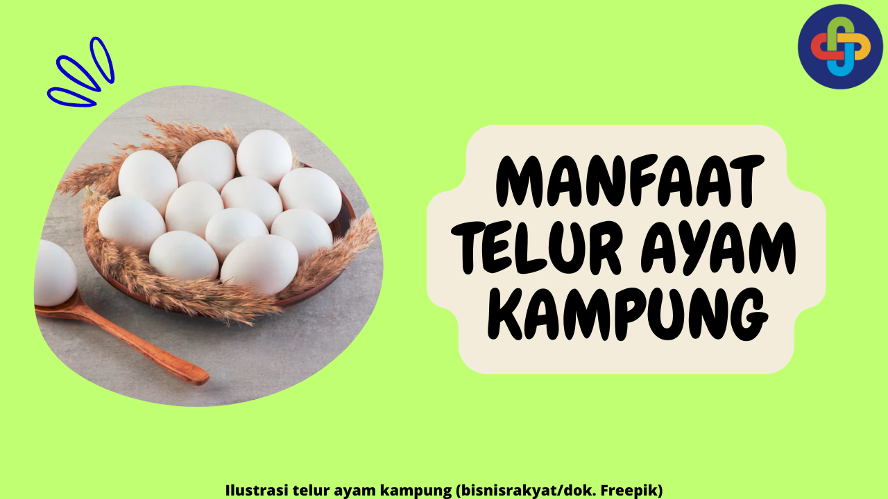 7 Manfaat Telur Ayam Kampung, Berikut Keunggulannya