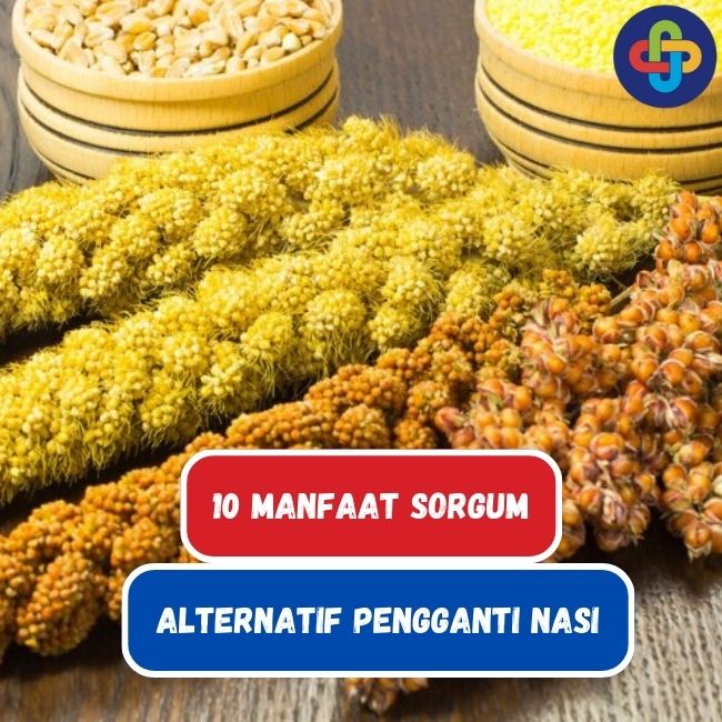 Ketahuilah 10 Manfaat Sorgum, Alternatif Pengganti Nasi